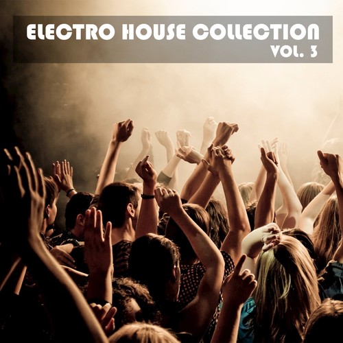 Electro House Collection, Vol. 3