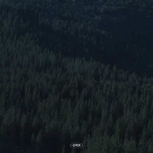 Goodbye (Prod. By Saevom) cover art