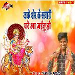 Kake sher ke sawari ghare aa jaitu ho