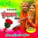 MAIN TO JAUNGI VRINDAWAN DHAM