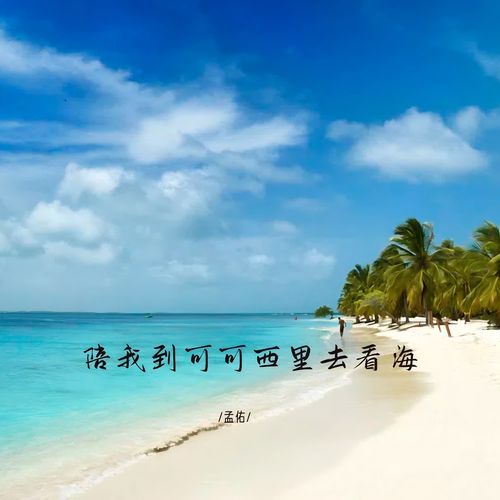 陪我到可可西里去看海 cover art