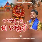 Maa Tarini Lo Maa Tarini