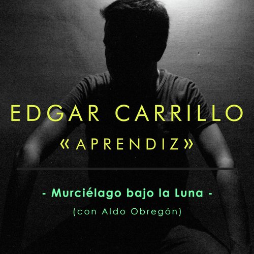 Murciélago Bajo la Luna (feat. Aldo Obregón) cover art