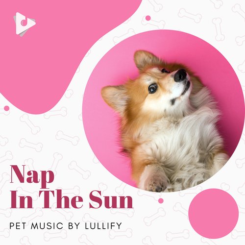 White Paw cover art