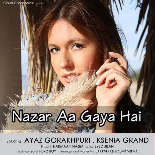 Nazar Aa Gaya Hai_poster_image