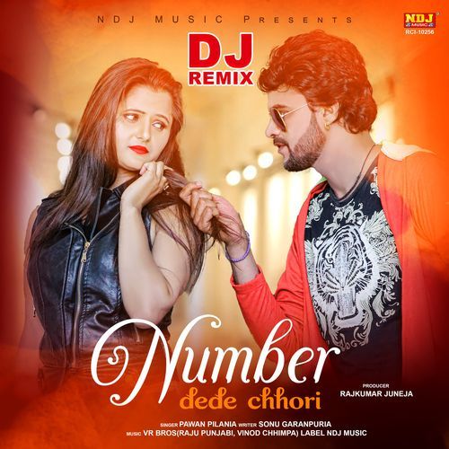 Number Dede Chhori (Dj Remix)