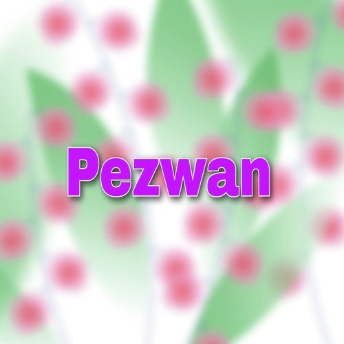 Pezwan_poster_image