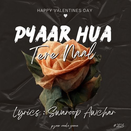 Pyaar Hua Tera Naal