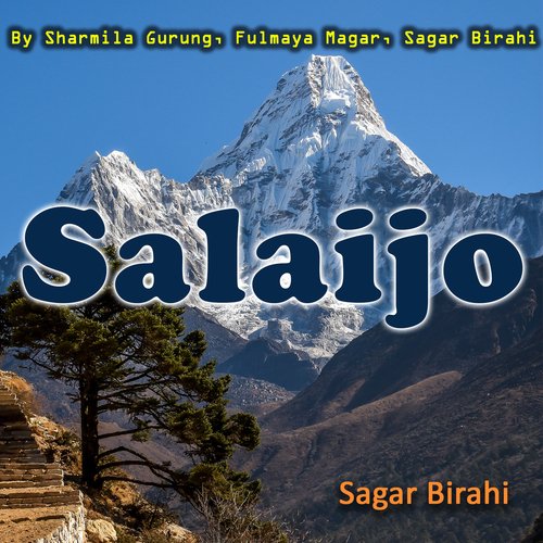 Salaijo_poster_image