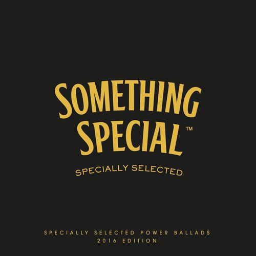 Something Special-Specially Selected Power Ballads 2016 Edition_poster_image