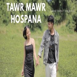 Tawr Mawr Hospana
