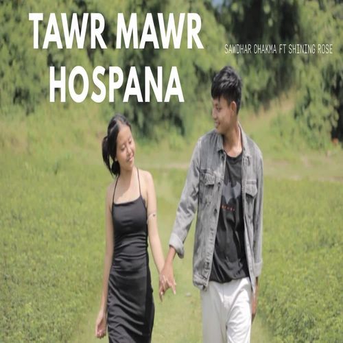 Tawr Mawr Hospana
