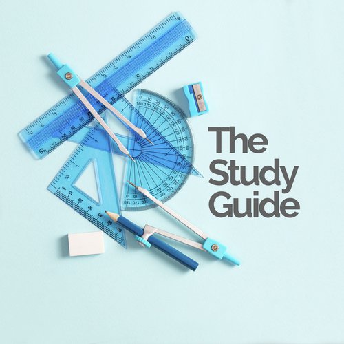 The Study Guide_poster_image