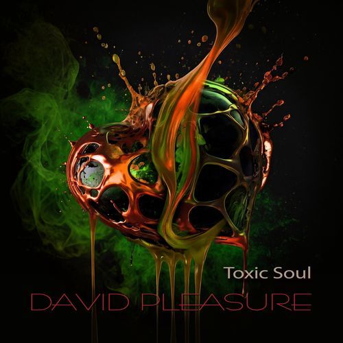 Toxic Soul cover art