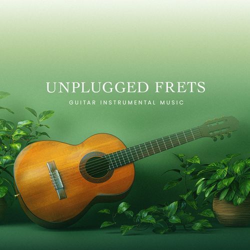 Unplugged Frets_poster_image