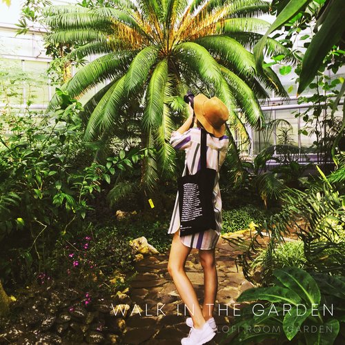 Walk in the Garden