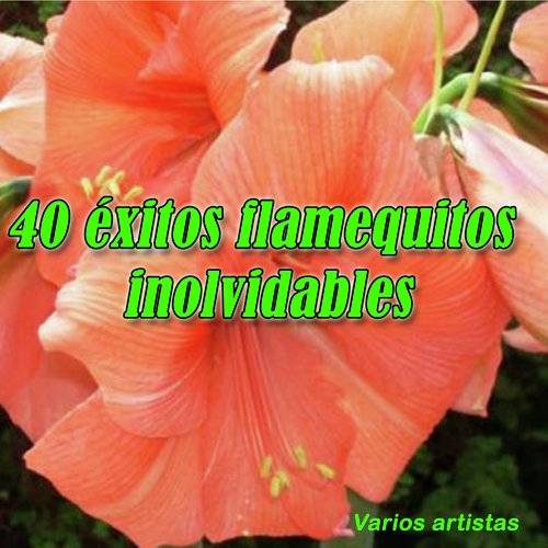 40 éxitos Flamenquitos Inolvidables