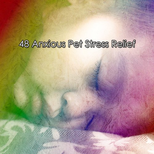 48 Anxious Pet Stress Relief