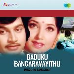 Baduku Bangaravayithu