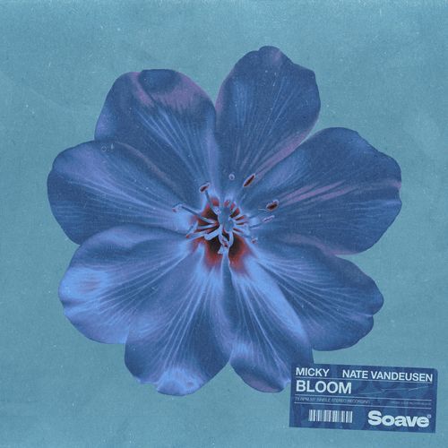 Bloom