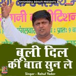 Booli dil ki baat sun le (Hindi)