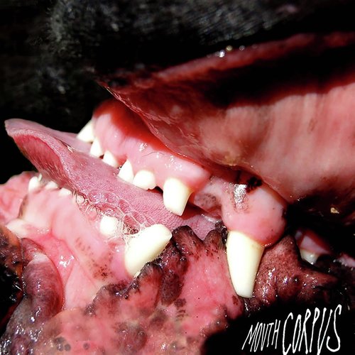 Vitro cover art