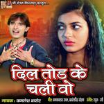 Dil Tod Ke Chali Wo
