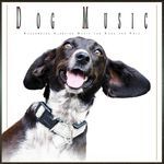Calming Music for Dog Sleep artwork