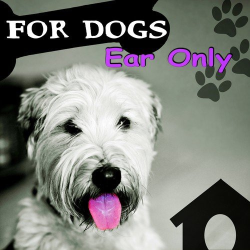 For Dogs Ear Only – Calm Down Your Animal Companion, Music Therapy for Dogs, Sleep Aids, Pet Relaxation, Stress Relief