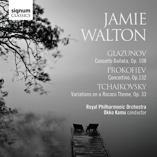 Variations on a Rococo Theme, Op. 33: Variation V