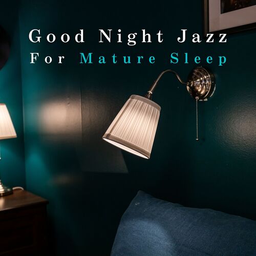 Good Night Jazz ~For Mature Sleep_poster_image