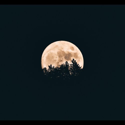 Harvey cover art