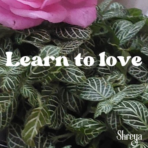 Learn to love_poster_image