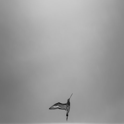 Luchtledigheid cover art
