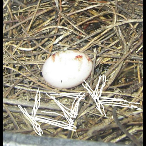 이렇게 보냈어 Song Download from Meadowlands JioSaavn