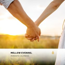 Earth Bright African Night