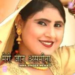 Halwa Mewati artwork