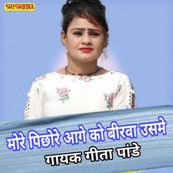 More pichhore aage ko birwa usme