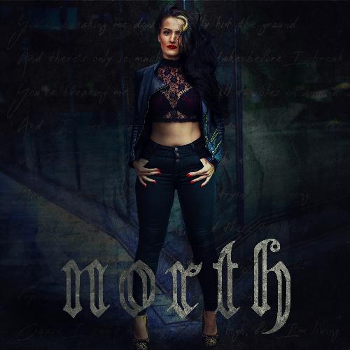 Storyteller cover art