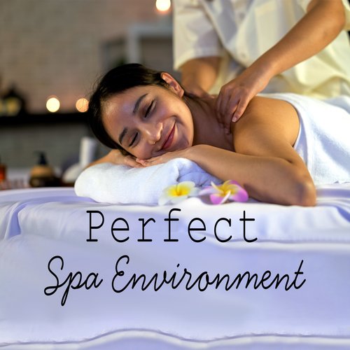 Perfect Spa Environment: Relaxing Session with Sound and Nature_poster_image