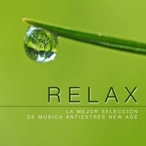 Música Para Meditar y Relajarse