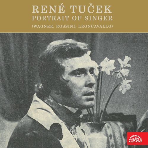 René Tuček - Portrait of Singer (Wagner, Rossini, Leoncavallo)_poster_image