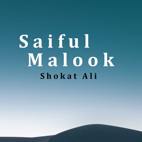 Saiful Malook