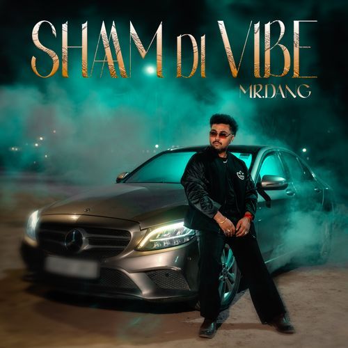 Shaam Di Vibe