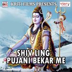 Shiv Ling Pujani Bekar Me