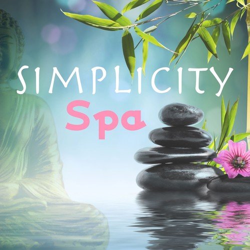 Spa & Spa cover art