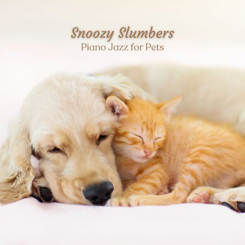 Piano Jazz for Pets cover art
