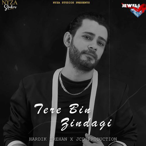 Tere Bin Zindagi