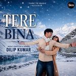 Tere Bina Dil Nahi Lagta