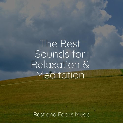 The Best Sounds for Relaxation & Meditation